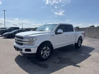 Ford F-150 2019 4x4 Platinum 4dr SuperCrew 5.5 ft. SB