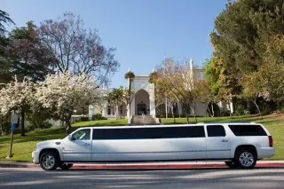 Los Precios MAs bajos la limo
