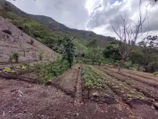 Salitral Costa Rica Land Sale