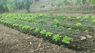 Salitral Costa Rica Land Sale