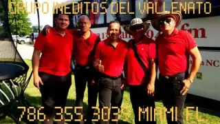 Grupo Vallenato 786 355 3039