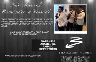 Trío Romántico VIP en CDMX