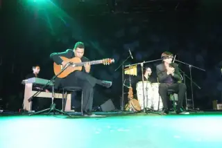 Artistas para reuniones llama