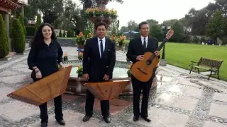 Artistas para reuniones llama