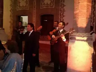 Artistas para reuniones llama