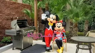 SHOW DE PERSONAJES PARA FIESTA