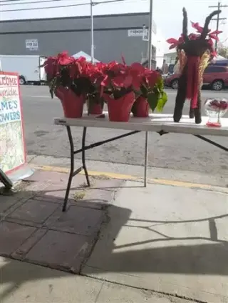 Jame’s Flowers