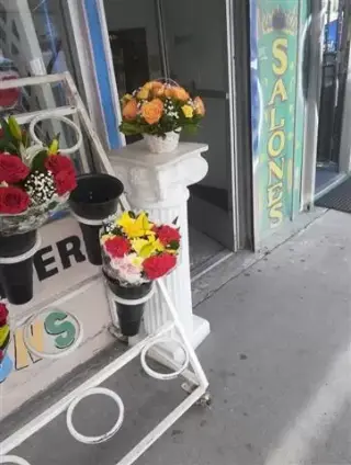 Jame’s Flowers