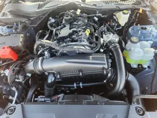 Ford Mustang 2025 EcoBoost 2dr Fastback