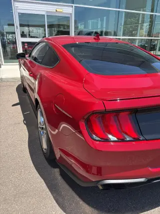 Ford Mustang 2021 EcoBoost 2dr Fastback