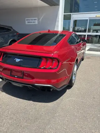Ford Mustang 2021 EcoBoost 2dr Fastback
