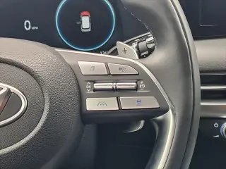Hyundai PALISADE 2024 Calligraphy 4dr SUV