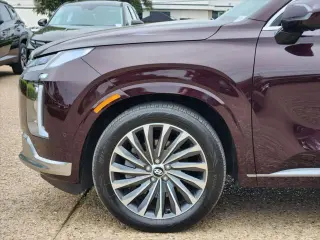 Hyundai PALISADE 2024 Calligraphy 4dr SUV