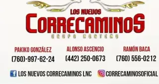 LOS NUEVOS CORRECAMINOS