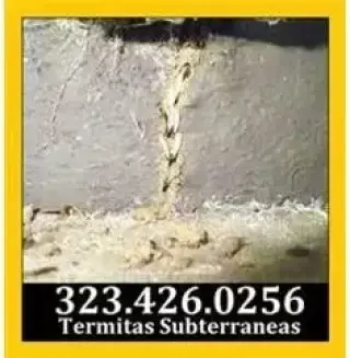 PROFESIONALES TERMITAS.