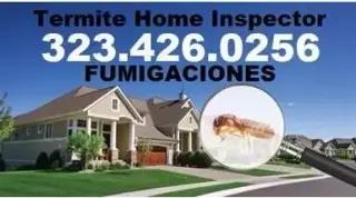 PROFESIONALES TERMITAS.
