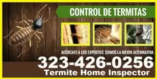 Profesionales Termitas 24/7
