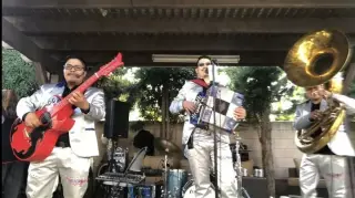 ✌️GRUPO NORTEÑO CON TUBA✌️