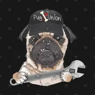 El pug junks