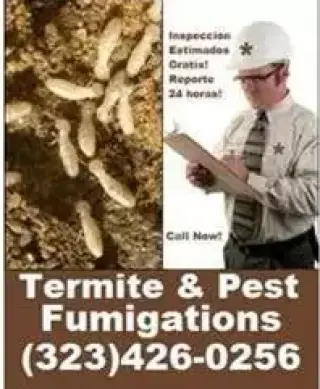 TERMITE & PEST CONTROL