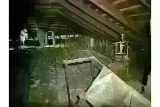 PEST CONTROL