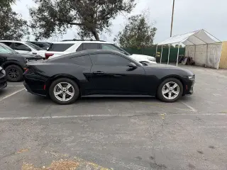 Ford Mustang 2024 EcoBoost 2dr Fastback