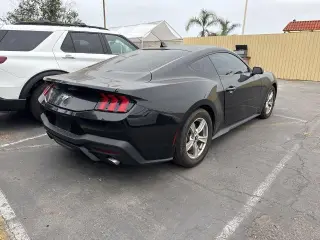 Ford Mustang 2024 EcoBoost 2dr Fastback