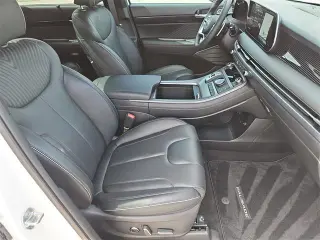 Hyundai PALISADE 2024 Calligraphy 4dr SUV