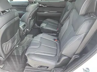 Hyundai PALISADE 2024 Calligraphy 4dr SUV