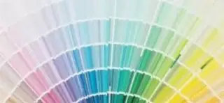 Pinturas al por mayor, RD!