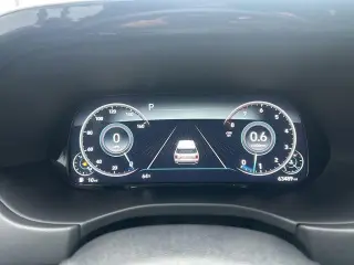 Hyundai PALISADE 2021 Calligraphy 4dr SUV