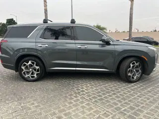 Hyundai PALISADE 2021 Calligraphy 4dr SUV