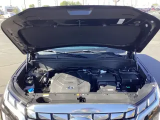 Hyundai PALISADE 2024 AWD Calligraphy 4dr SUV
