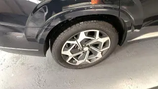 Hyundai PALISADE 2021 AWD Calligraphy 4dr SUV