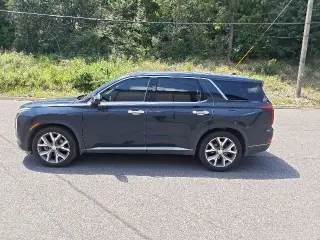 Hyundai PALISADE 2020 SEL 4dr SUV