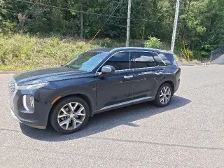 Hyundai PALISADE 2020 SEL 4dr SUV