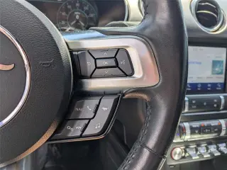 Ford Mustang 2019 EcoBoost 2dr Fastback