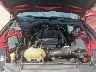 Ford Mustang 2019 EcoBoost 2dr Fastback