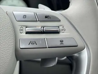 Hyundai PALISADE 2023 AWD Calligraphy 4dr SUV