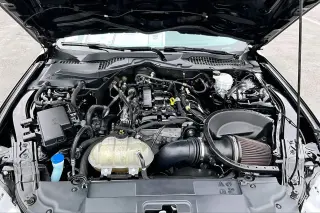 Ford Mustang 2021 EcoBoost 2dr Fastback