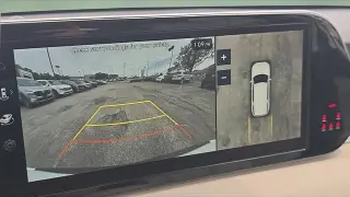 Hyundai PALISADE 2024 AWD Calligraphy 4dr SUV