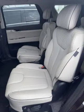 Hyundai PALISADE 2023 Calligraphy 4dr SUV