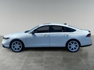 Honda Accord Hybrid 2024 Sport-L 4dr Sedan