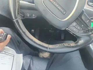 Dodge Challenger 2019 SXT 2dr Coupe