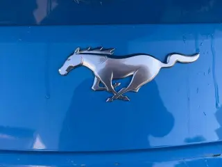 Ford Mustang 2024 EcoBoost 2dr Fastback