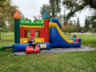 TORO*SSS CARPA"S $330 y más 🚀