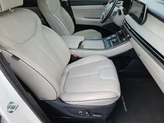 Hyundai PALISADE 2023 Calligraphy 4dr SUV