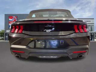 Ford Mustang 2024 EcoBoost 2dr Convertible