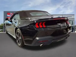 Ford Mustang 2024 EcoBoost 2dr Convertible