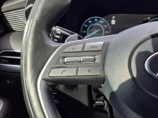 Hyundai PALISADE 2023 Calligraphy 4dr SUV